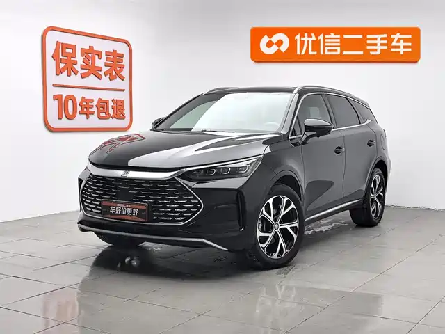 BYD TANGXIN ENERGY 2024
