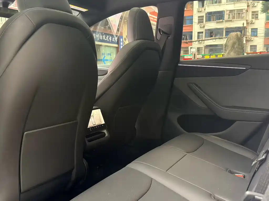 Tesla Model Y — миниатюра 8