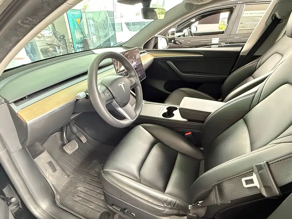 Tesla Model Y — миниатюра 4