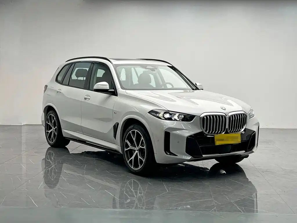BMW X5 — миниатюра 8