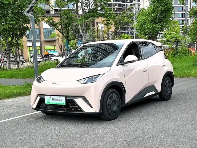 2024 BYD Seagull
