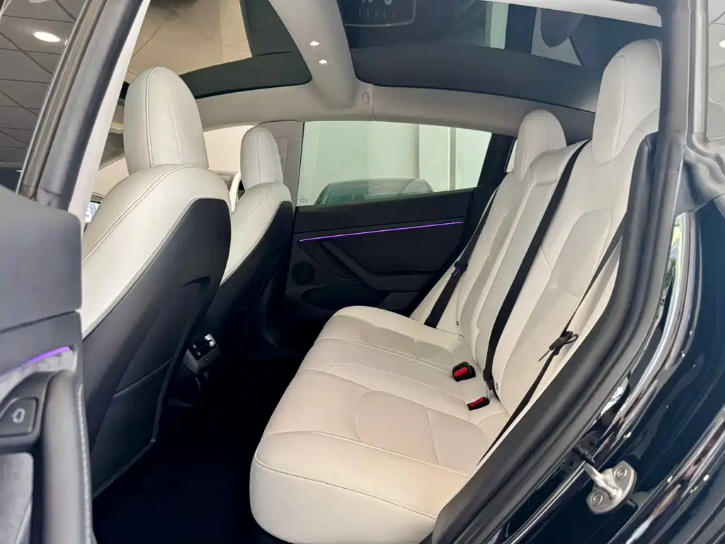 Tesla Model 3 — миниатюра 6