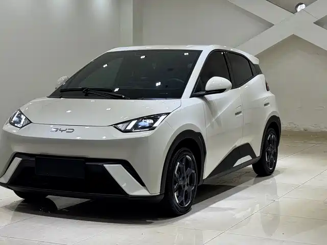 2024 BYD Seagull