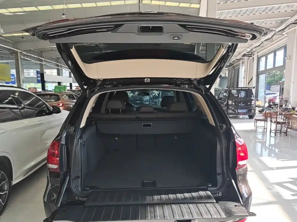 BMW X5 (Import) — миниатюра 19