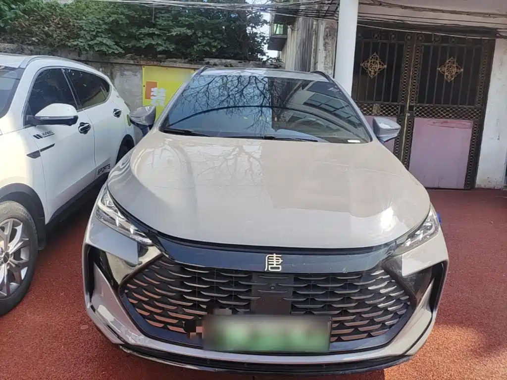 BYD Tang New Energy — миниатюра 3