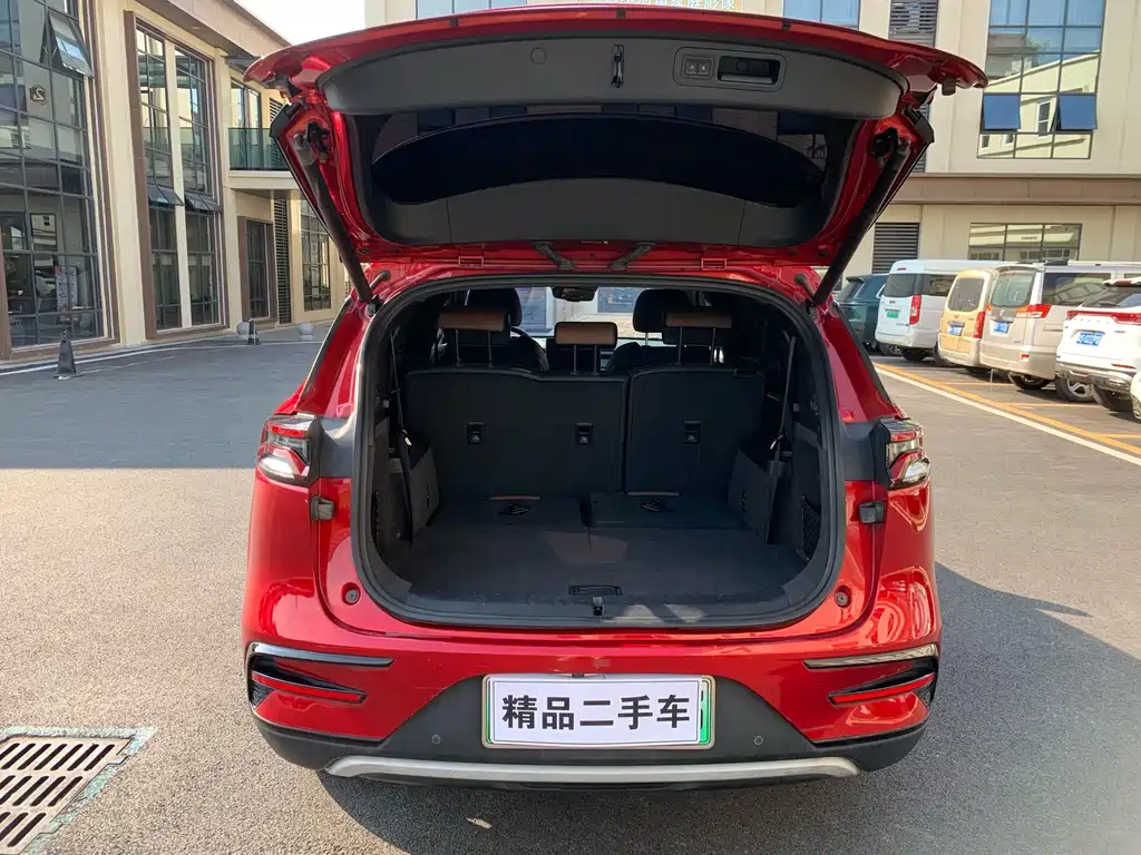 BYD Tang New Energy — миниатюра 7