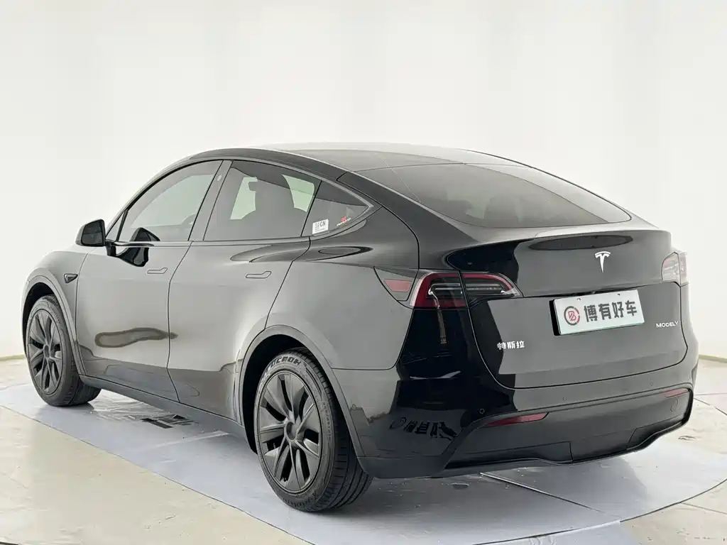Tesla Model Y — миниатюра 9