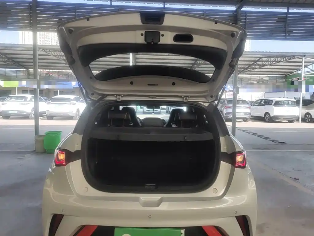 BYD Dolphin — миниатюра 19