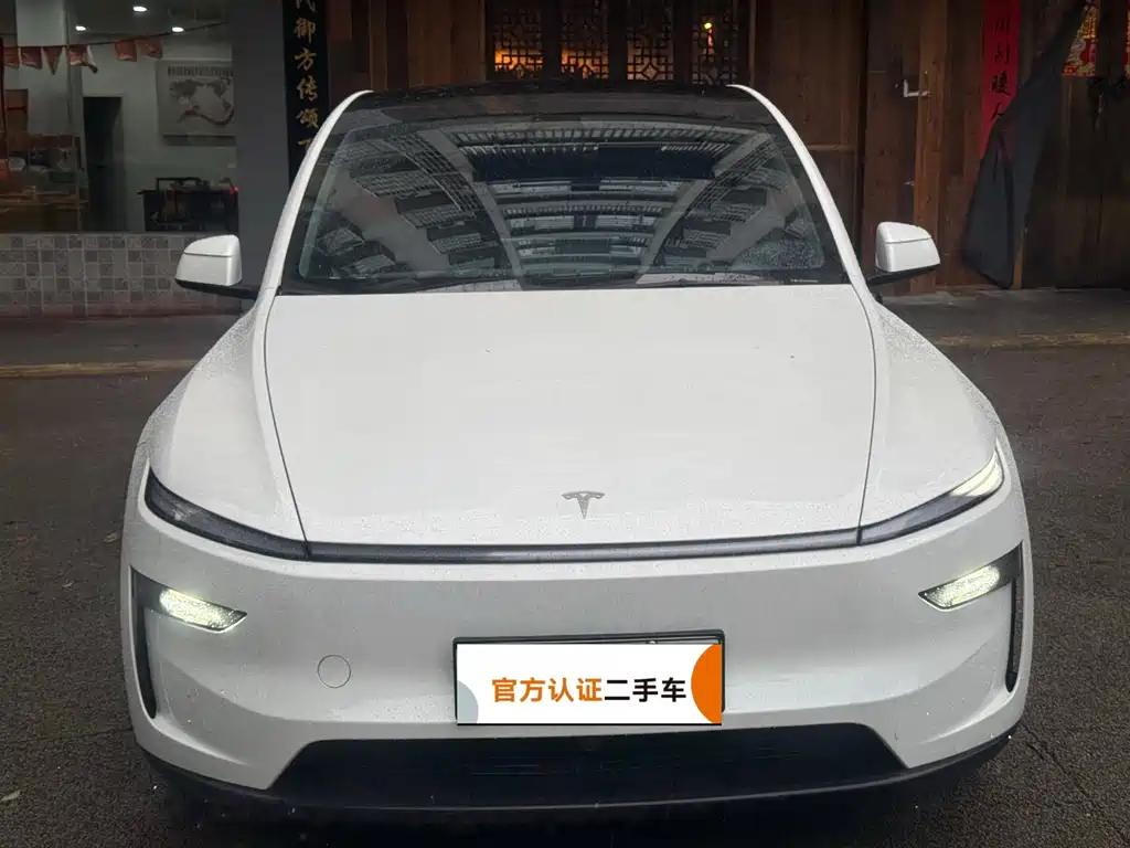 Tesla Model Y — миниатюра 2