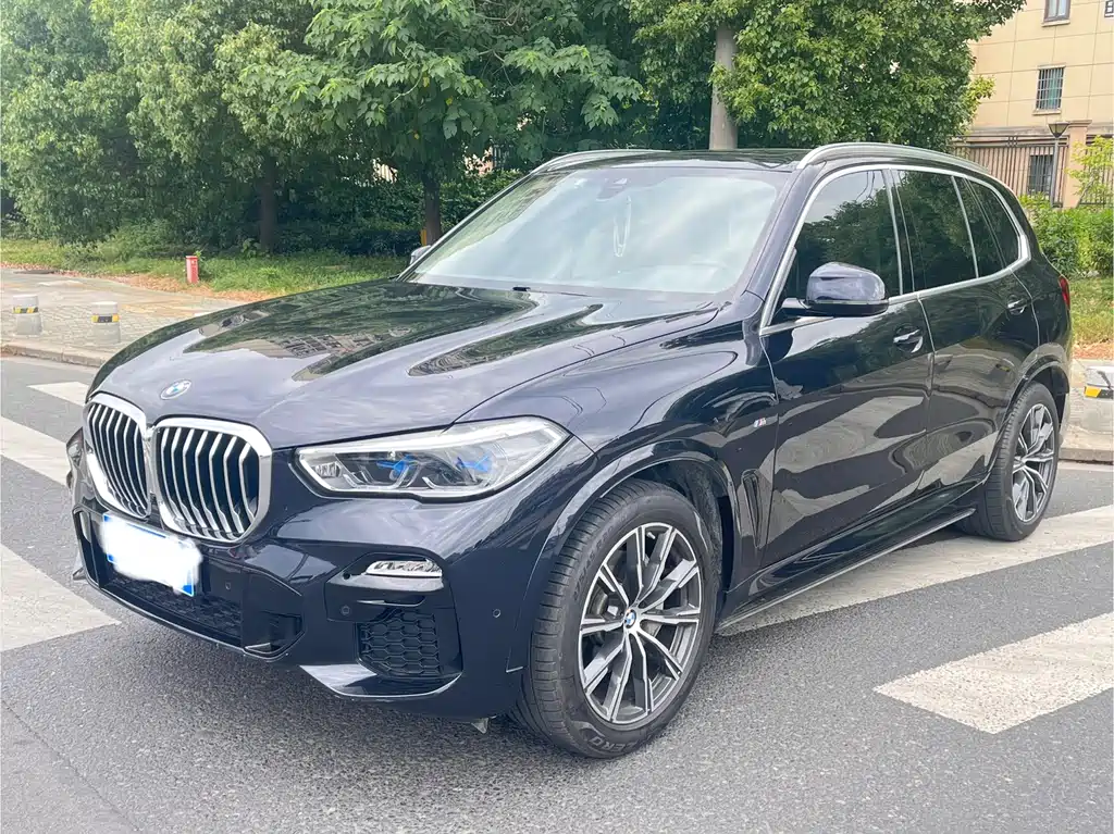 BMW X5 (Import) 2019