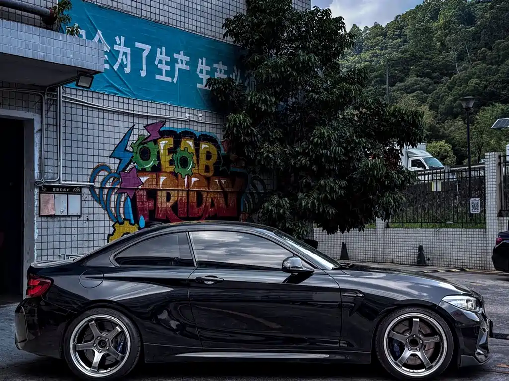 BMW M2 — миниатюра 3