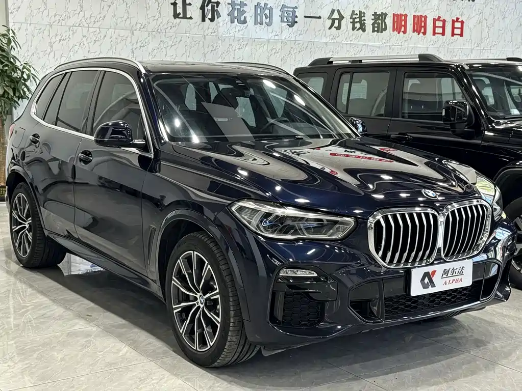 BMW X5 (Import) — миниатюра 3