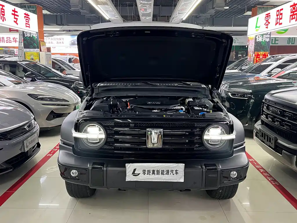 Tank Tank 300 New Energy — миниатюра 15