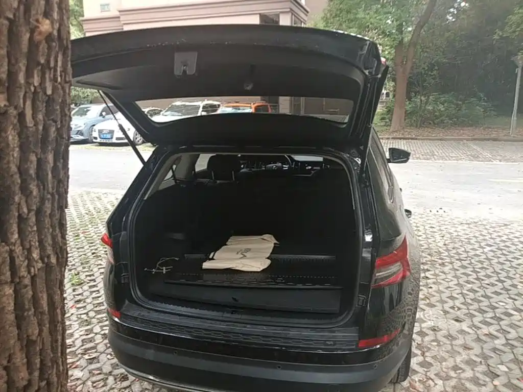 Skoda Kodiaq — миниатюра 19