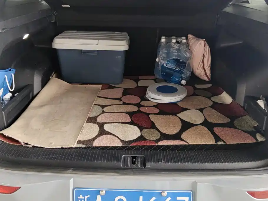 Volkswagen Tavendor — миниатюра 4
