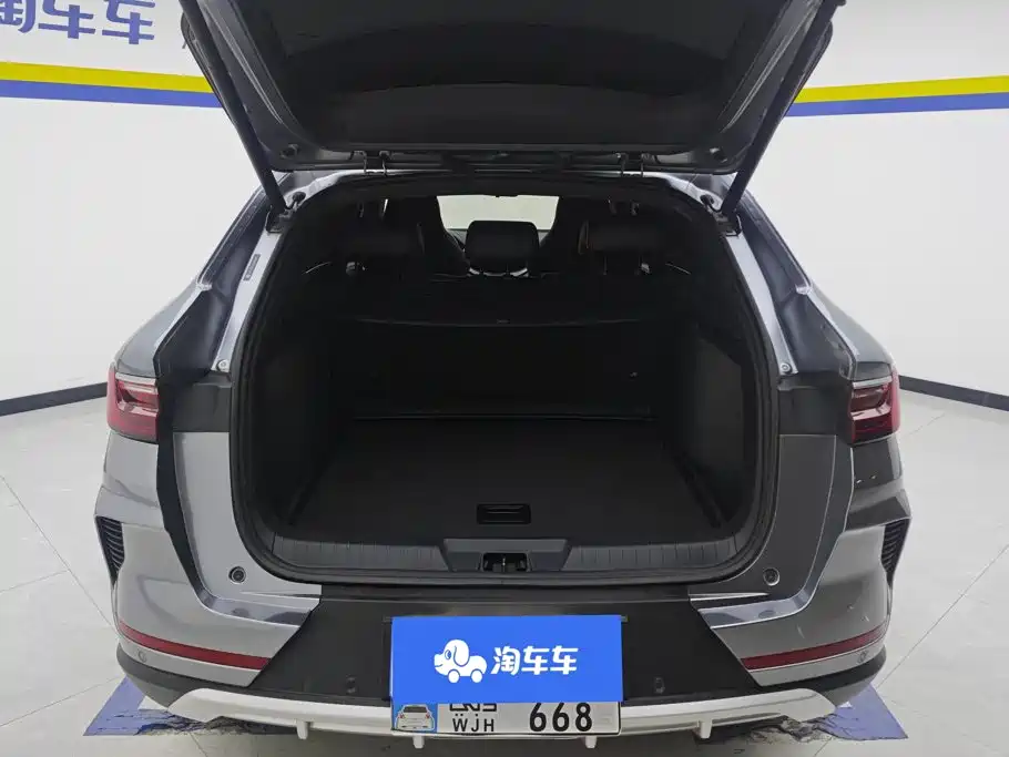 BYD PLUS — миниатюра 4
