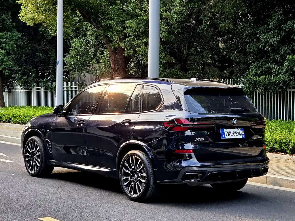 BMW X5 — миниатюра 11
