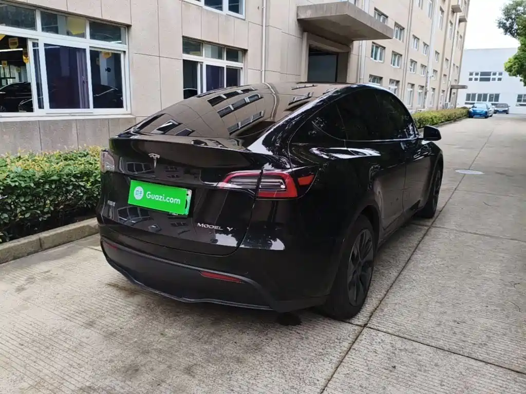 Tesla Model Y — миниатюра 7
