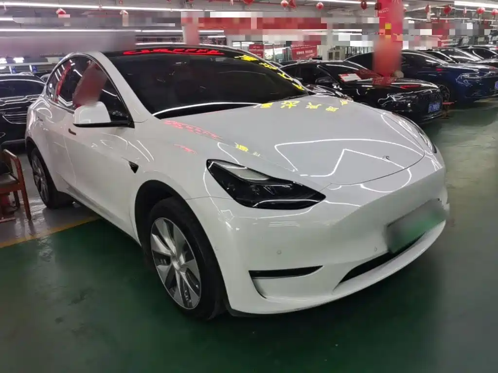 Tesla Model Y — миниатюра 4