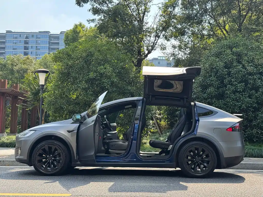 Tesla Model X — миниатюра 7