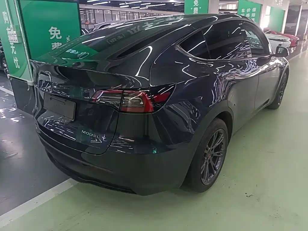 Tesla Model Y — миниатюра 7