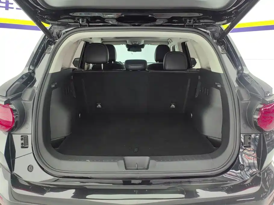Haval Big Dog PLUS — миниатюра 4