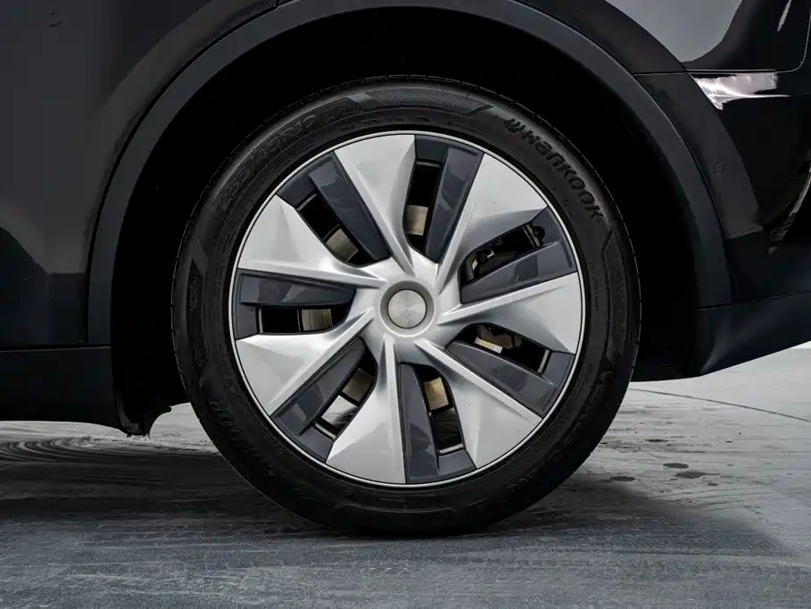 Tesla Model Y — миниатюра 25