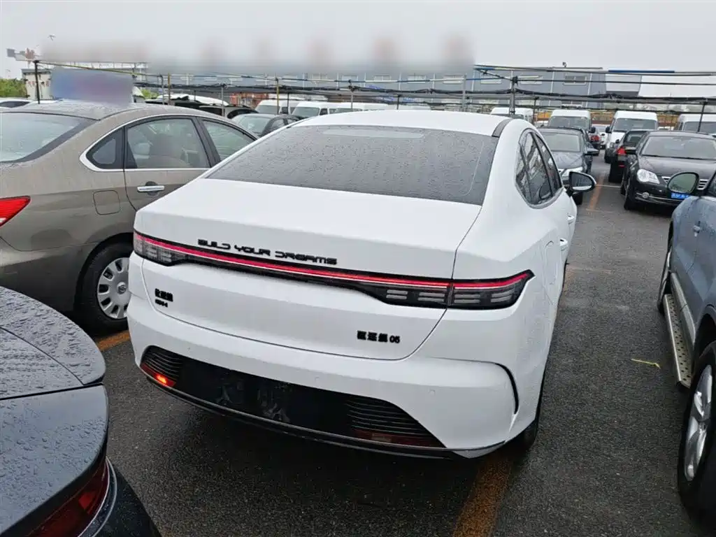 BYD Destroyer 05 2024 DM-i 55KM Luxury