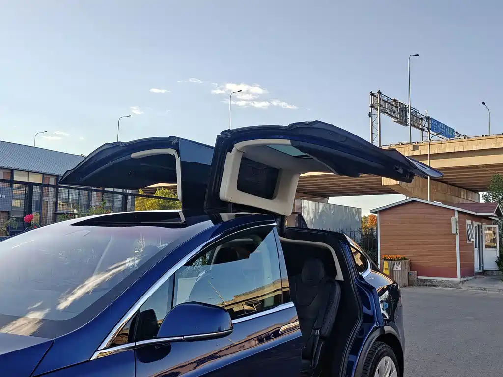 Tesla Model X — миниатюра 14