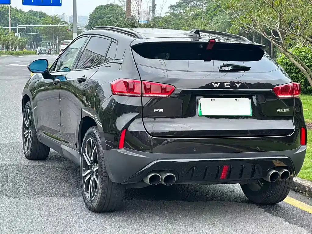 Wey Wey P8 — миниатюра 5