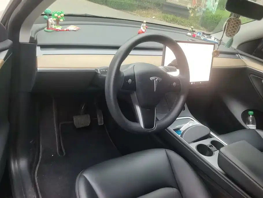 Tesla Model Y — миниатюра 12
