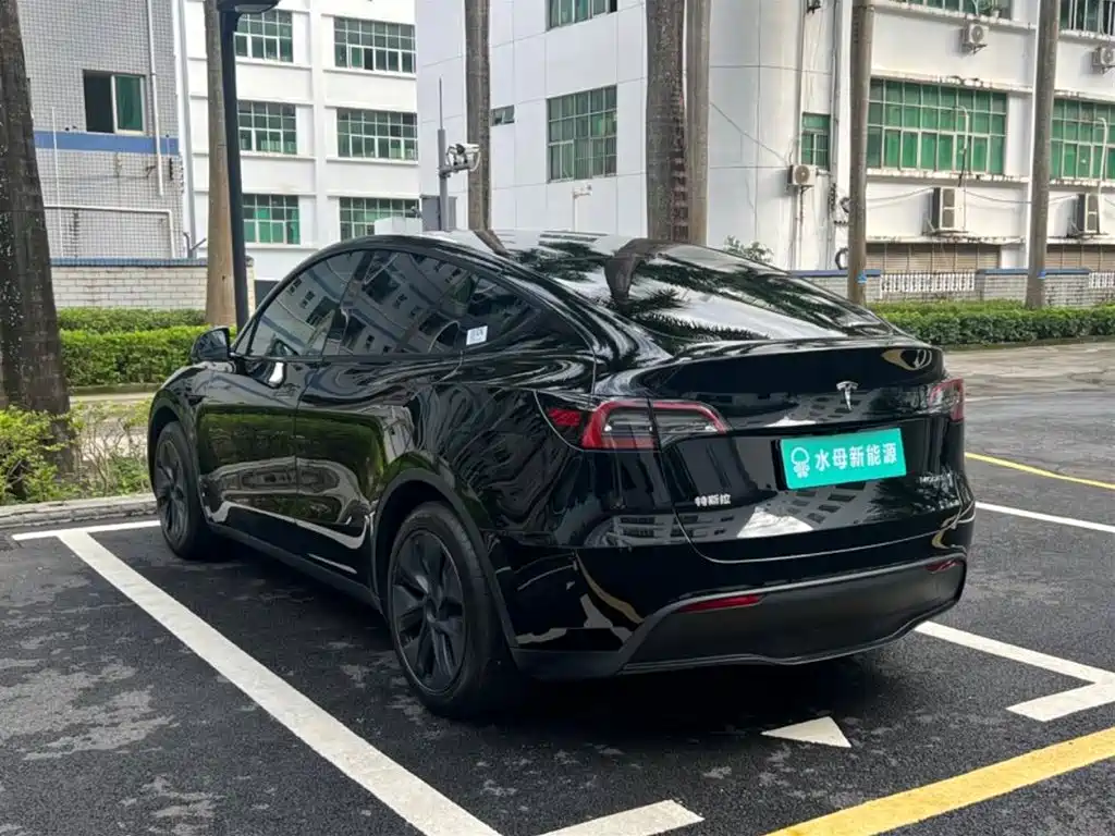 Tesla Model Y — миниатюра 6