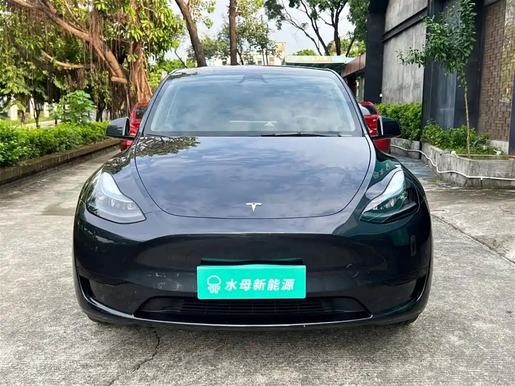 Tesla Model Y — миниатюра 2