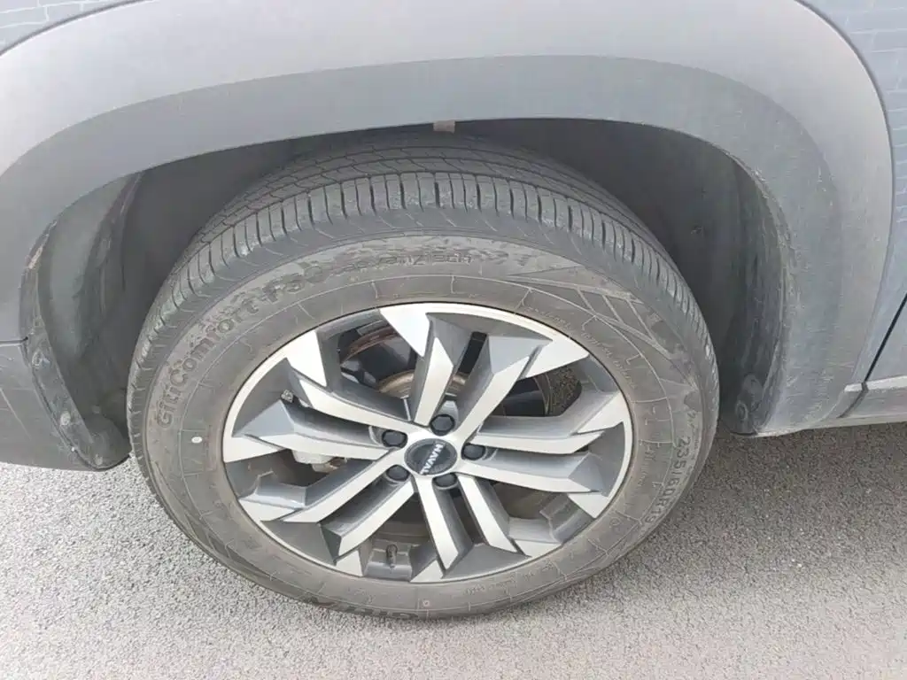 Haval Big Dog — миниатюра 23