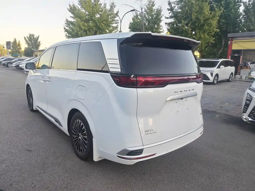 Denza Denza D9 — миниатюра 10