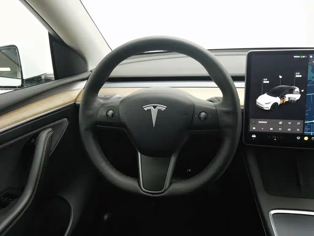 Tesla Model Y — миниатюра 11