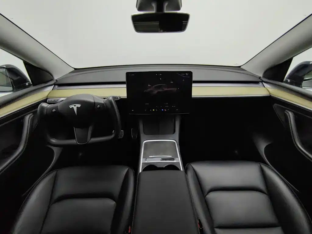 Tesla Model Y — миниатюра 5