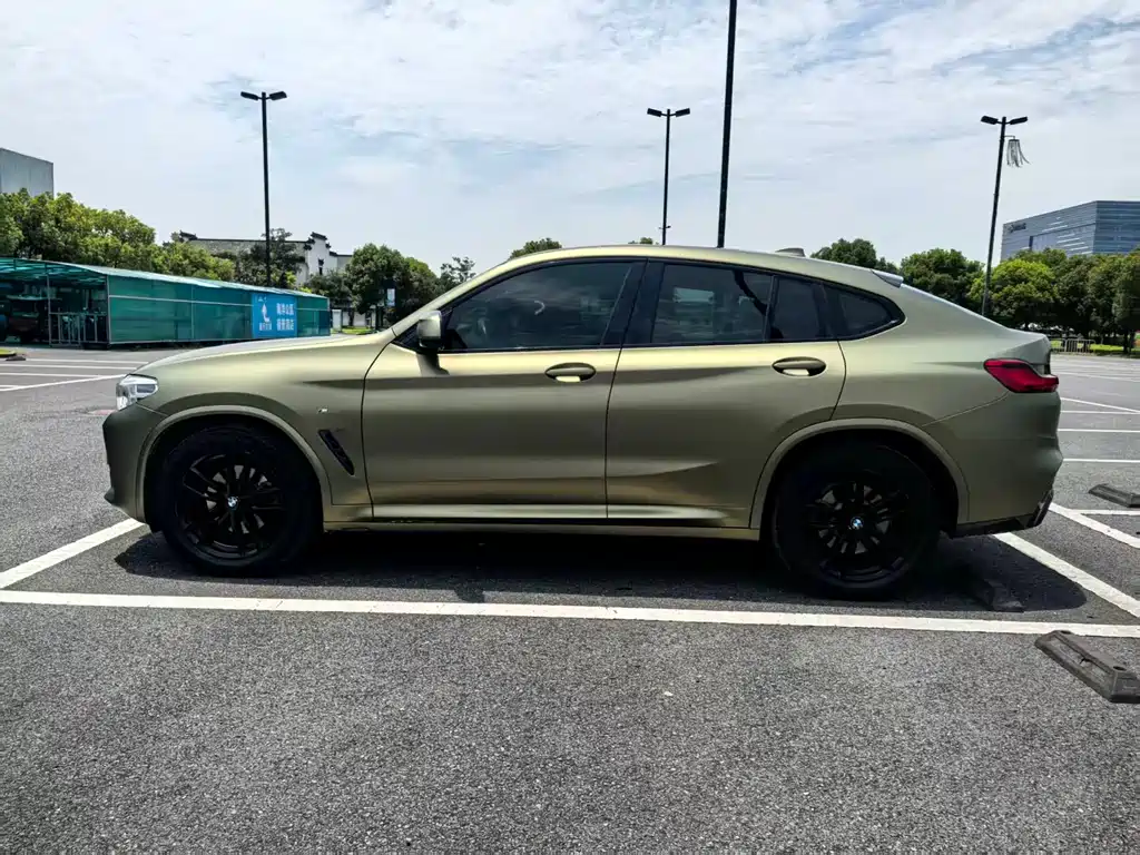 BMW X4 2019 xDrive25i M Sport
