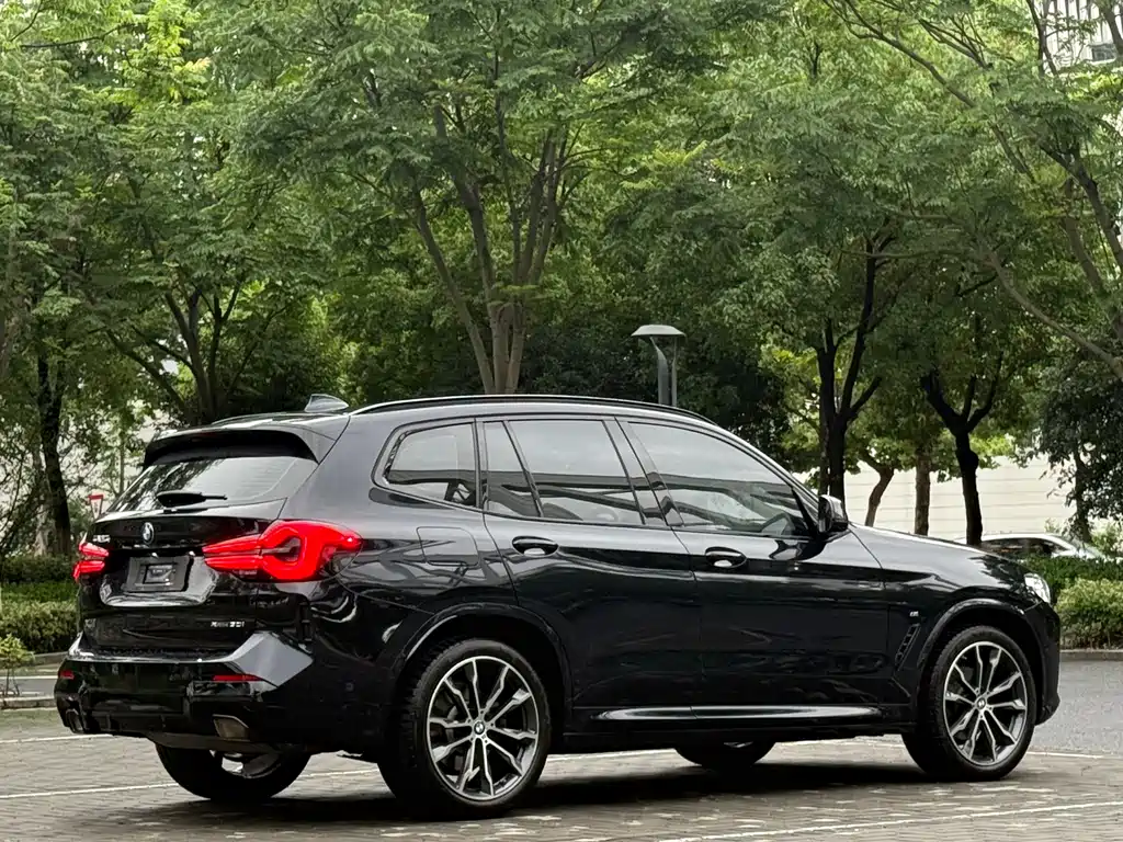 BMW X3 2023 xDrive30i Lead M