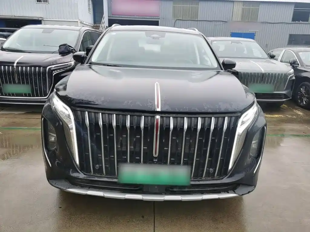 Hongqi Hongqi HS7 PHEV — миниатюра 3