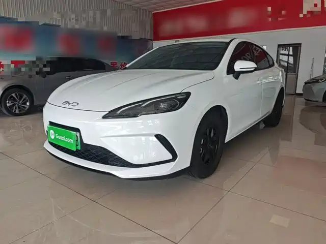 2025 BYD Sea Lion