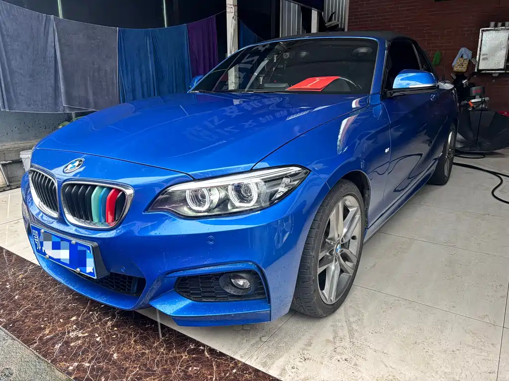 BMW 2 Series (Import) 2018