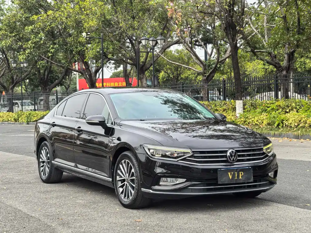 Volkswagen Magotan 2020 330TSI DSG Luxury