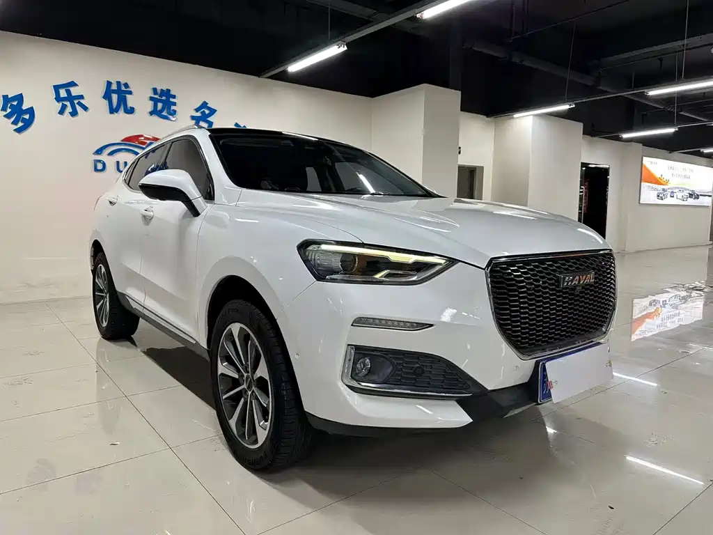 Haval F5 — миниатюра 3
