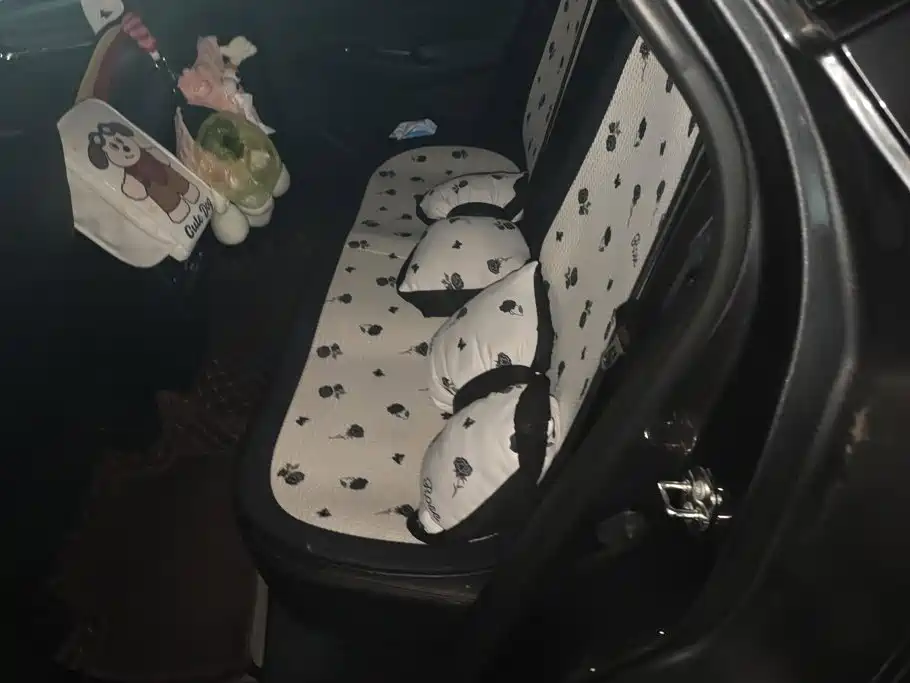 Changan X5 PLUS — миниатюра 11