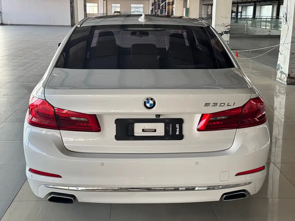 BMW 5 Series — миниатюра 5