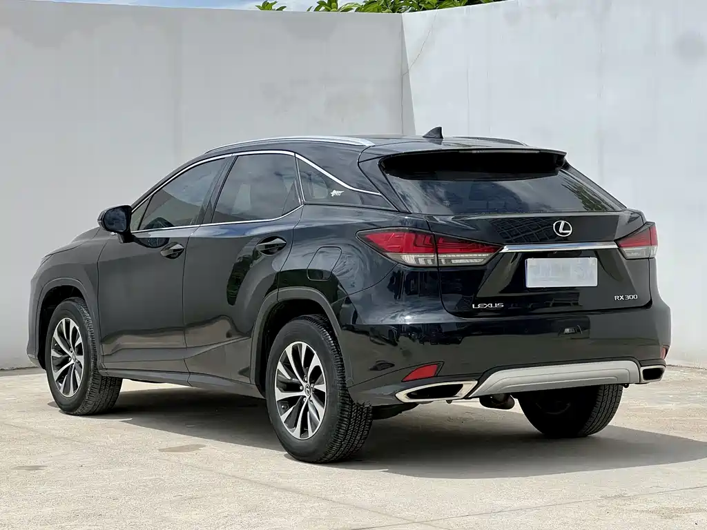 Lexus RX — миниатюра 11