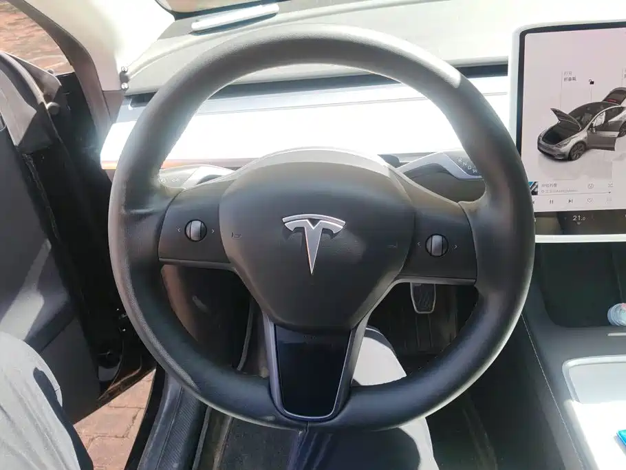 Tesla Model Y — миниатюра 15