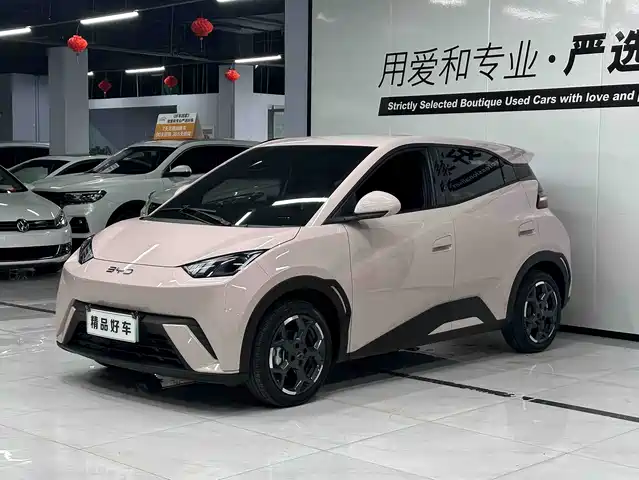 2024 BYD Seagull