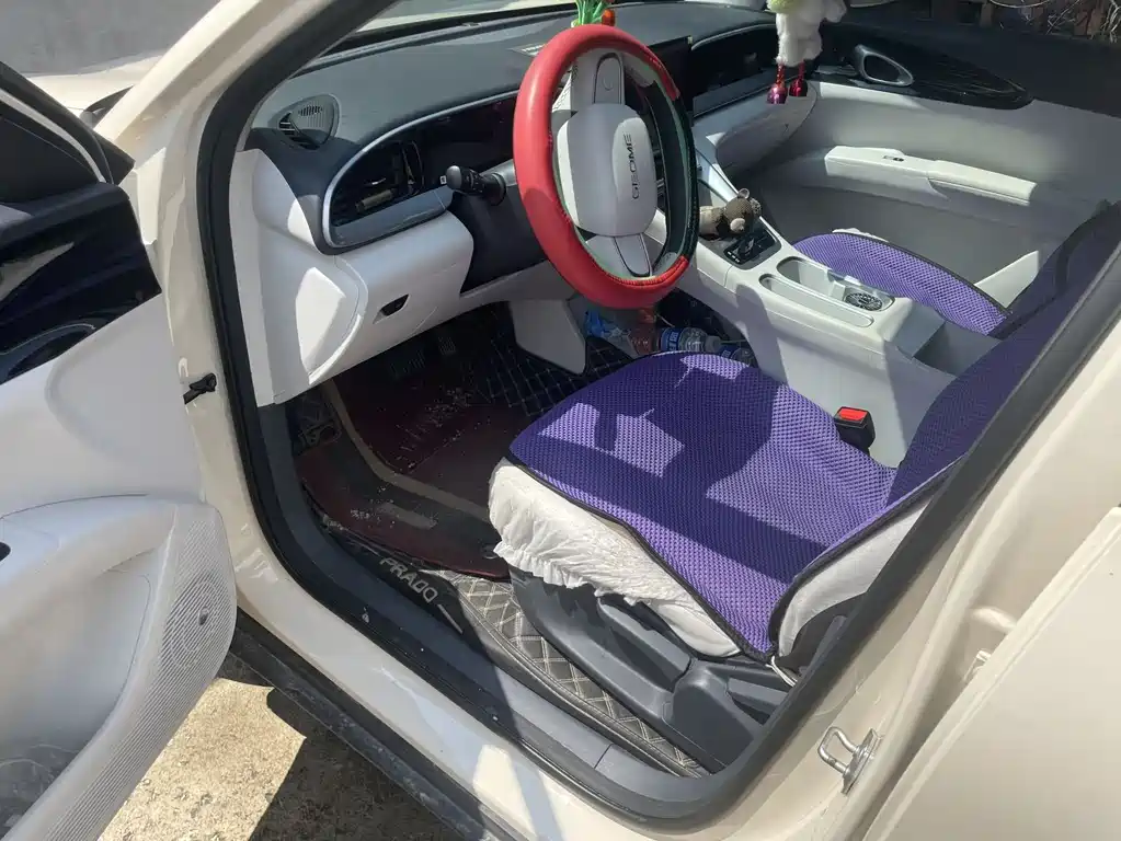 Geely Geome Xingyuan 2025 310km